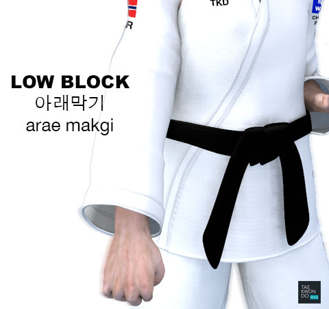 Low Block ( 아래막기 arae makgi )