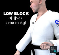 Low Block ( 아래막기 arae-makgi )