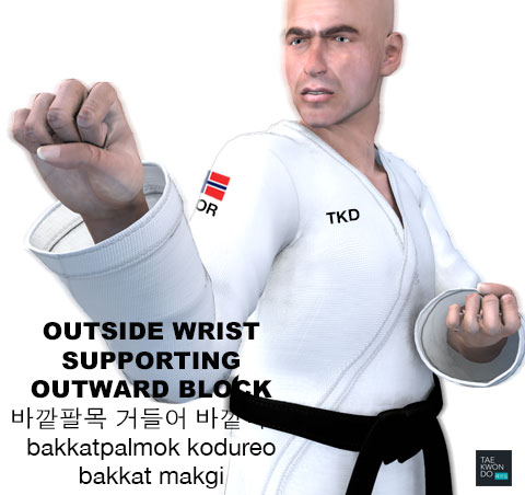 (Outside Wrist) Supporting Outward Block ( (바깥팔목) 거들어 바깥막기 (bakkatpalmok) kodureo bakkat makgi )