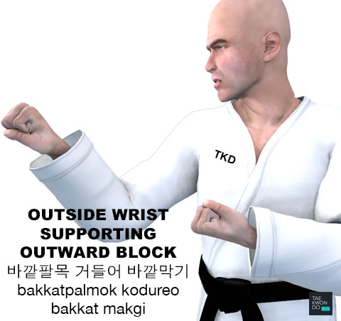 Outside Wrist Supporting Outward Block ( 바깥팔목 거들어 바깥막기 bakkatpalmok-kodureo-bakkat-makgi )