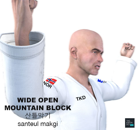 Wide Open Mountain Block ( 산틀막기 santeul makgi )