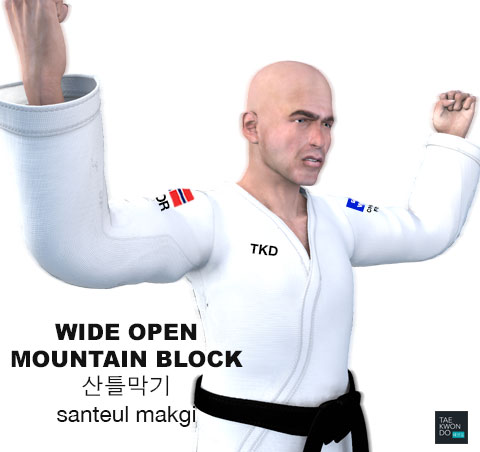 Wide Open Mountain Block ( 산틀막기 santeul-makgi )