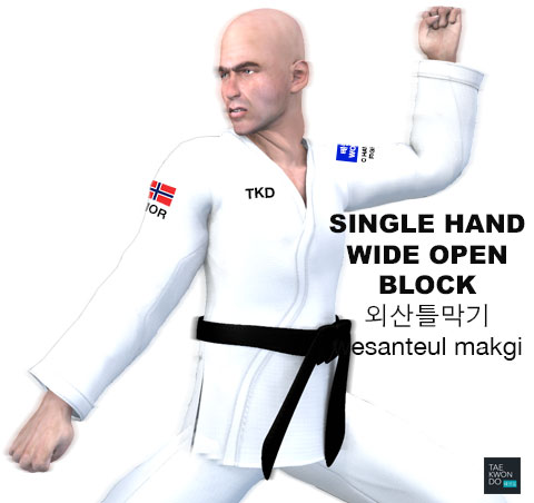 Single Hand Wide Open Blocking ( 외산틀막기 wesanteul makgi )