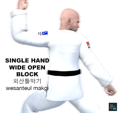 Single Hand Wide Open Blocking ( 외산틀막기 Wesanteul makgi )