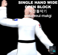 Single Hand Wide Open Block ( 외산틀막기 wesanteul-makgi )