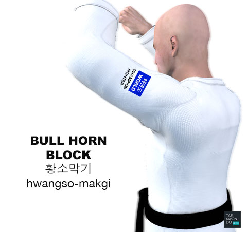 Bull Horn Blocking ( 황소막기 Hwangso-makgi )