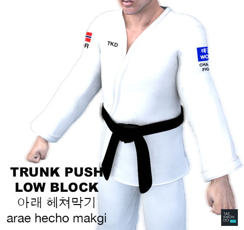 Trunk Push Low Block ( 아래 헤쳐막기 arae hecho makgi )