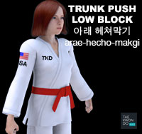 Trunk Push Low Block ( 아래 헤쳐막기 arae-hecho-makgi )