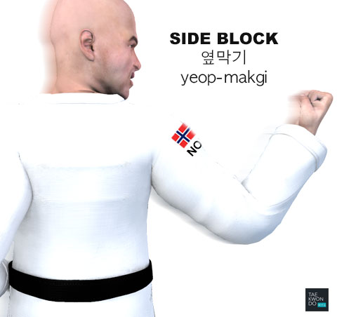 Side Block ( 옆막기 yeop-makgi )