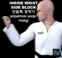 Inside Wrist Side Block ( 안팔목 옆막기 anpalmok-yeop-makgi )