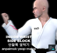 Inside Wrist Side Block ( 안팔목 옆막기 anpalmok-yeop-makgi )