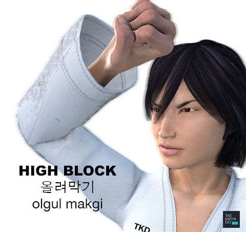 High Block ( 올려막기 olgul makgi )