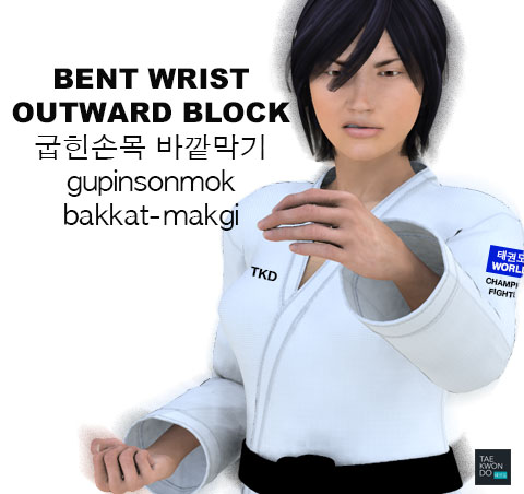 Bent Wrist Outward Block ( 굽힌손목 바깥막기 gupinsonmok-bakkat-makgi )