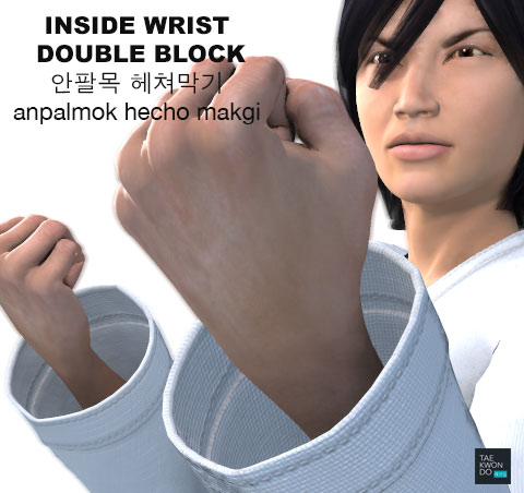 Inside Wrist Double Block ( 안팔목 헤쳐막기 anpalmok hecho makgi )