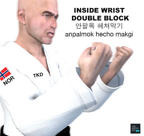 Inside Wrist Double Block ( 안팔목 헤쳐막기 anpalmok hecho makgi )