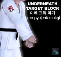 Underneath Target Block ( 아래 표적 막기 arae-pyojeok-makgi )