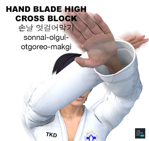 Knifehand High Cross Block ( 손날 엇걸어막기 sonnal-olgul-otgoreo-makgi )