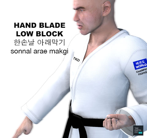 Hand Blade Low Block ( 한손날 아래막기 sonnal-arae-makgi )