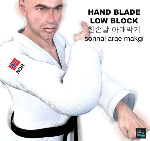 Hand Blade Low Block ( 한손날 아래막기 sonnal arae makgi )