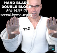 Hand Blade Double Block ( 손날 헤쳐막기 sonnal-hecho-makgi )