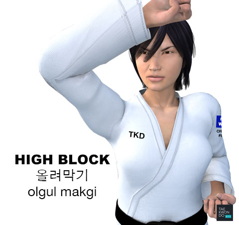 High Block ( 올려막기 olgul makgi )