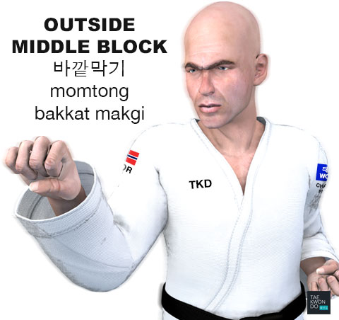 Outside Block ( 바깥막기 momtong bakkat makgi )