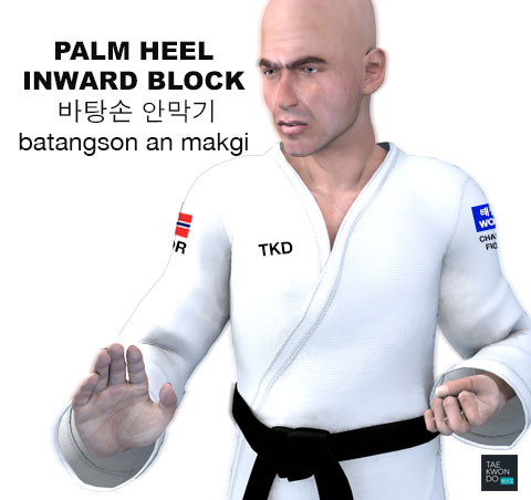 Palm Heel Inward Block ( 바탕손 안막기 batangson an makgi )