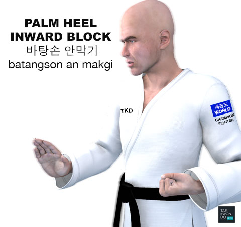 Palm Heel Inward Block ( 바탕손 안막기 batangson an makgi )