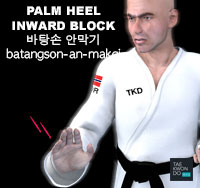 Palm Heel Inward Block ( 바탕손 안막기 batangson-an-makgi )