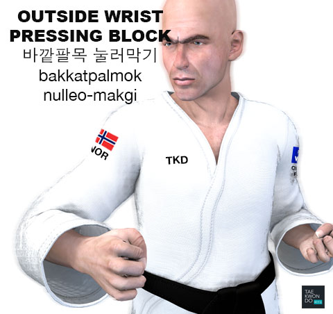 Outside Wrist Pressing Block ( 바깥팔목 눌러막기 bakkatpalmok nulleo-makgi )