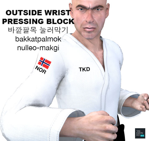 Outside Wrist Pressing Block ( 바깥팔목 눌러막기 bakkatpalmok nulleo-makgi )