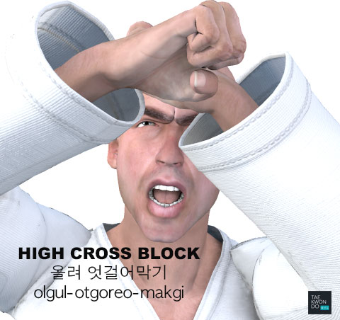 High Cross Block ( 올려 엇걸어막기 olgul-otgoreo-makgi )