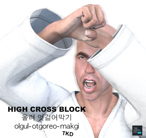 High Cross Block ( 올려 엇걸어막기 olgul-otgoreo-makgi )