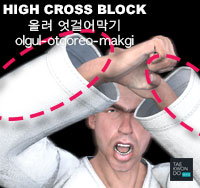 High Cross Block ( 올려 엇걸어막기 olgul-otgoreo-makgi )