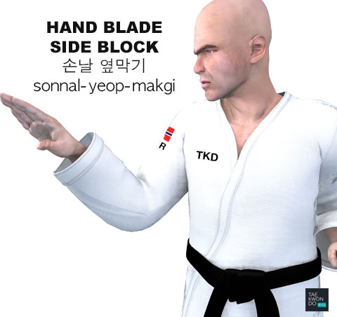 Hand Blade Side Block ( 손날 옆막기 sonnal-yeop-makgi )