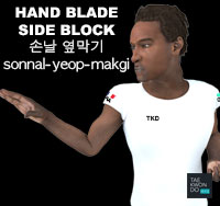 Hand Blade Side Block ( 손날 옆막기 sonnal-yeop-makgi )