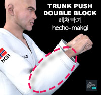 Trunk Push Double Block ( 헤쳐막기 hecho-makgi )