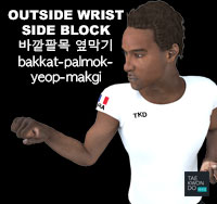 Outside Wrist Side Block ( 바깥팔목 옆막기 bakkat-palmok-yeop-makgi )