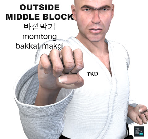 Outside Block ( 바깥막기 momtong bakkat makgi )