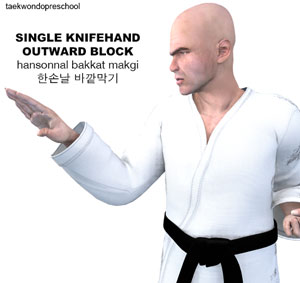 Single Knife Hand Outward Block ( 한손날 바깥막기 hansonnal bakkat makgi )