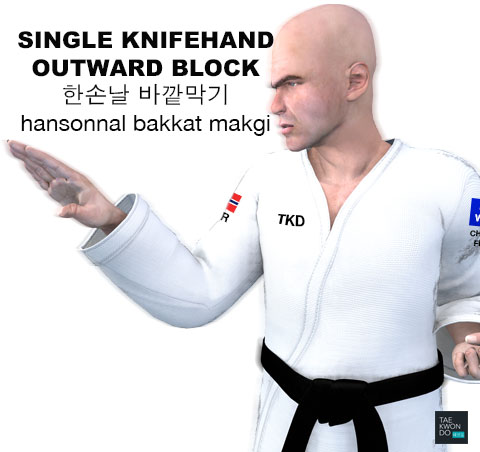 Single Knife Hand Outward Block ( 한손날 바깥막기 hansonnal bakkat makgi )