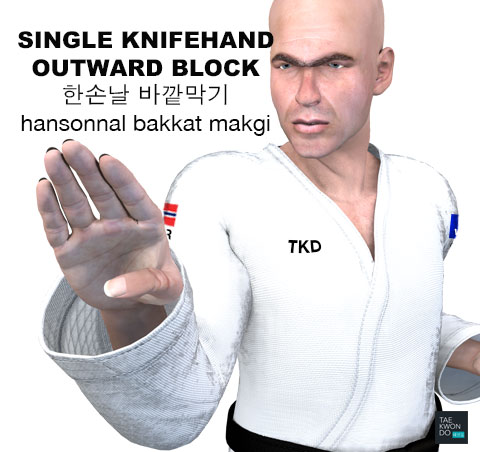 Single Knife Hand Outward Block ( 한손날 바깥막기 hansonnal bakkat makgi )