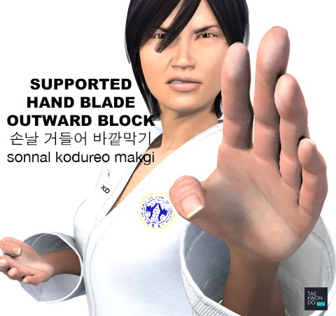 Supported Hand Blade Outward Block ( 손날 거들어 바깥막기 sonnal kodureo makgi )