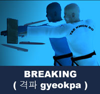 Taekwondo Breaking ( 격파 gyeokpa )