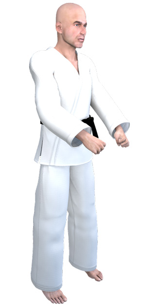 Taekwondo Uniform ( 도복 dobok )