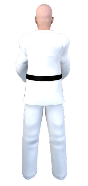 Taekwondo Uniform ( 도복 dobok )
