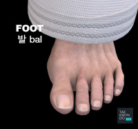 Foot ( 발 bal )