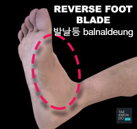 Reverse Foot Blade ( 발날등 balnaldeung )