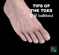 Tips of the Toes ( 발끝 balkkeut )