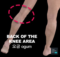 Back of the Knee ( 오금 ogum )